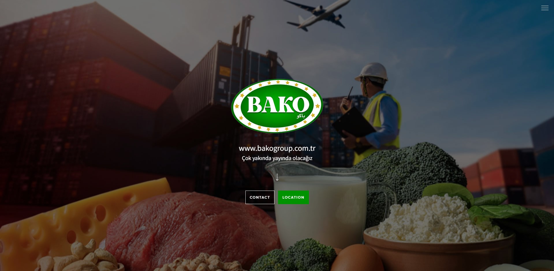 Defne Agency Web Design